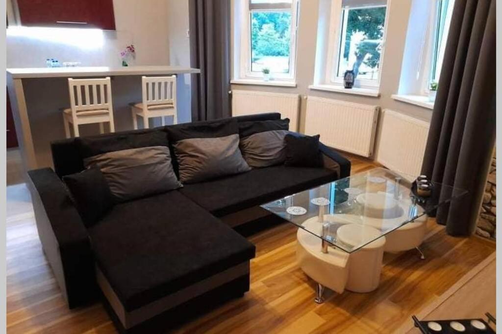 Mieszkanie Z Widokiem Na Park -Cieplice Slaskie Zdroj Apartment Jelenia Góra Exterior foto
